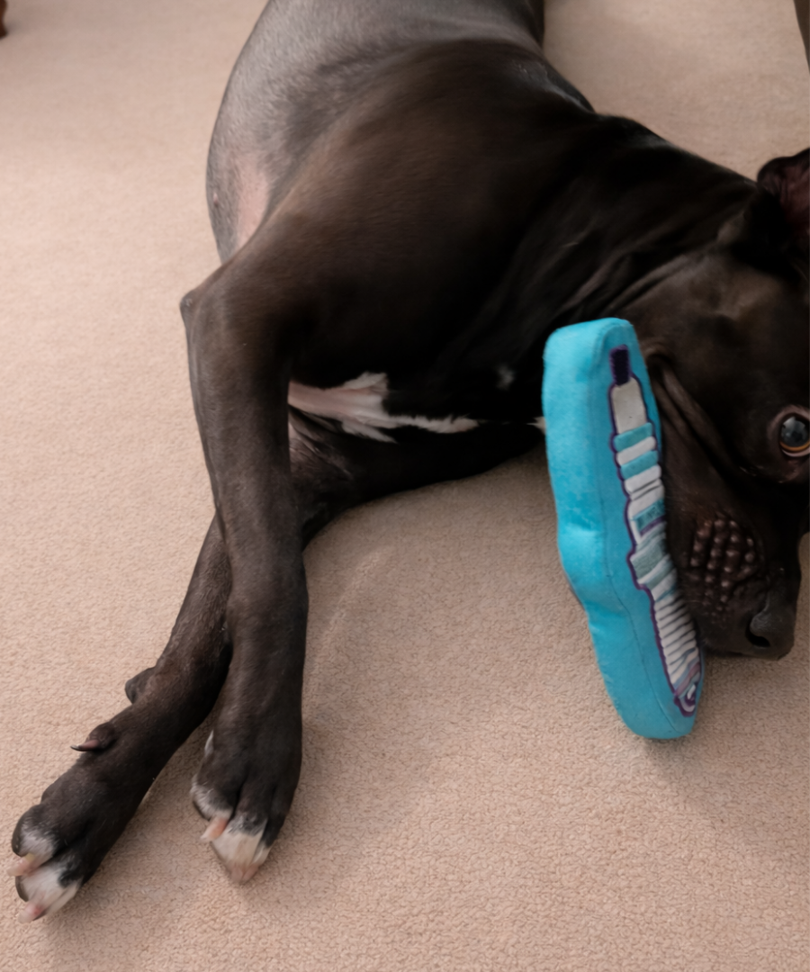 Throwback Automotive Spark Plug Dog Toy