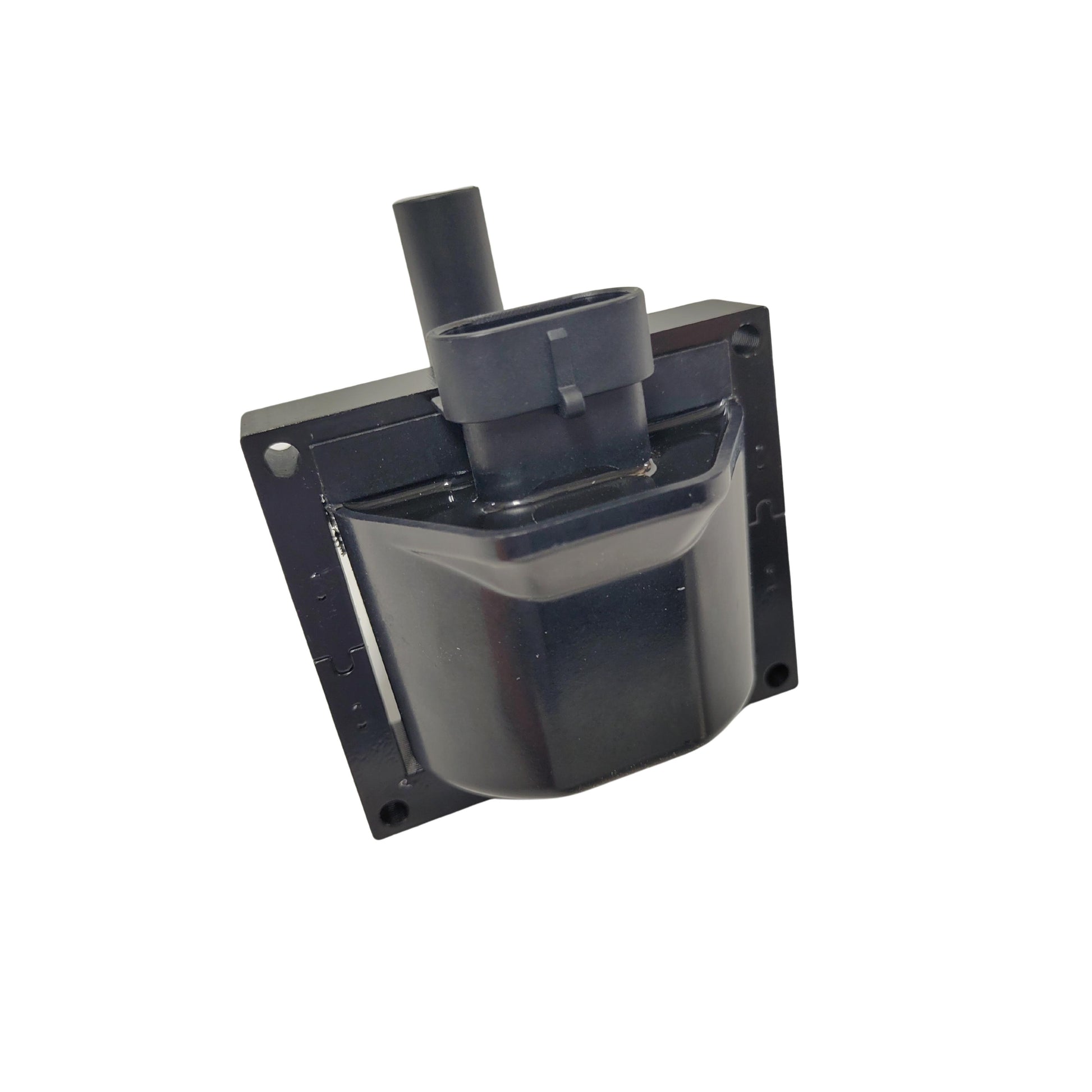 Delphi Ignition Coil 96+