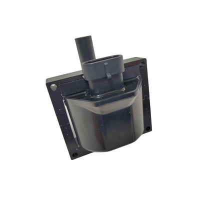 Delphi Ignition Coil 96+