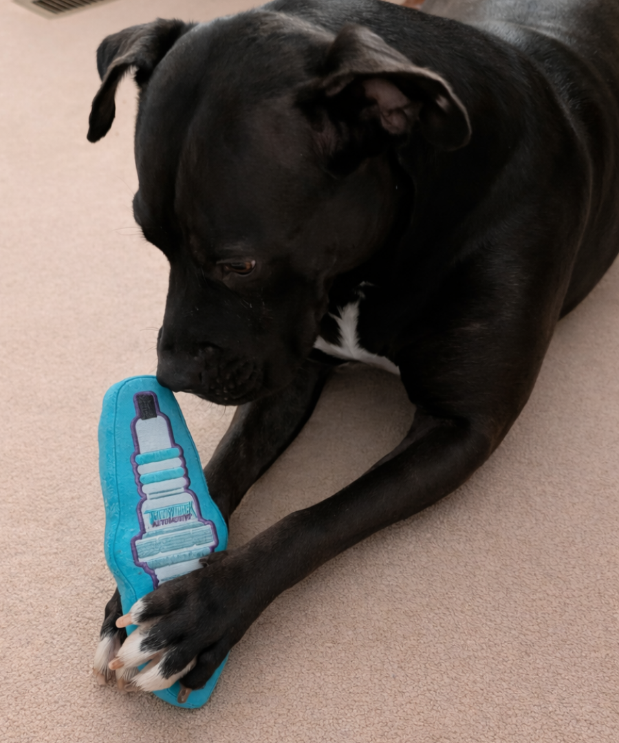 Throwback Automotive Spark Plug Dog Toy